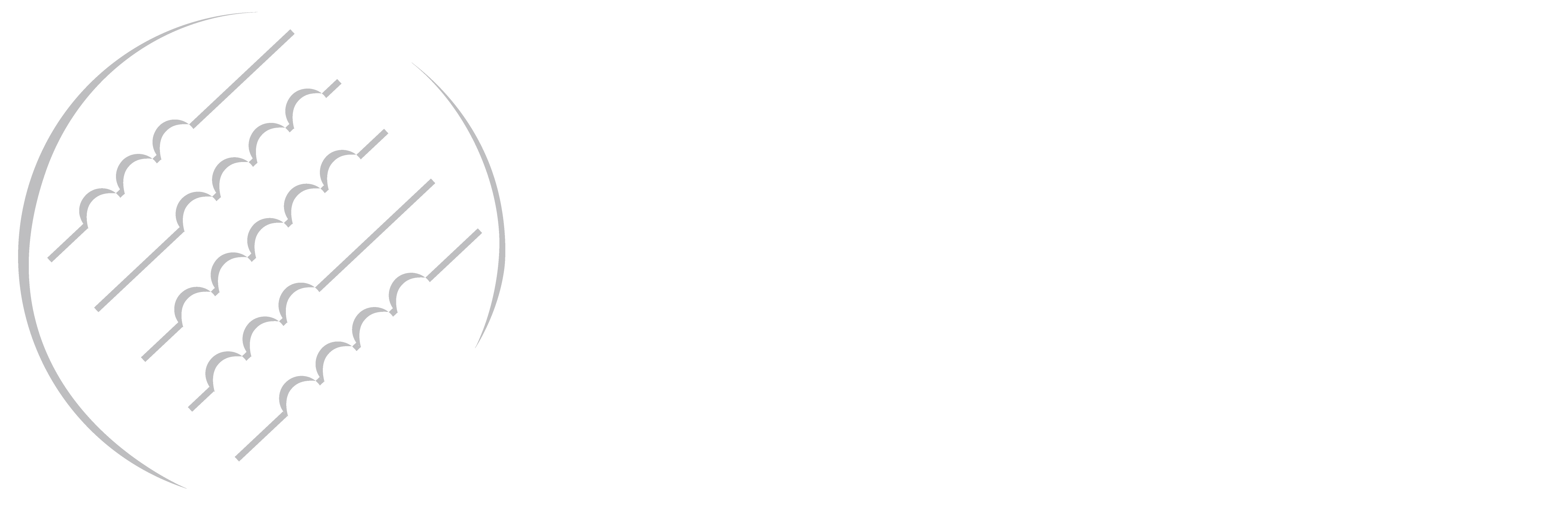 White Logo for Savvy CFO